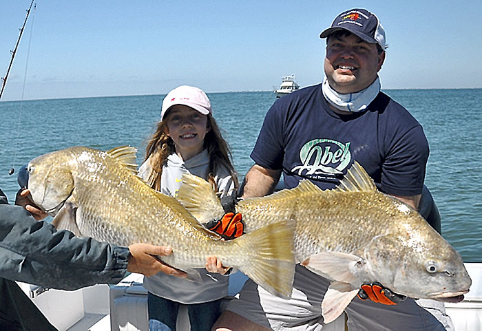 Black drum
